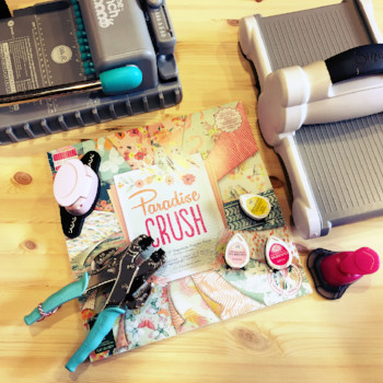 7d987f09-9000-4d79-a23e-2c5fb8522552